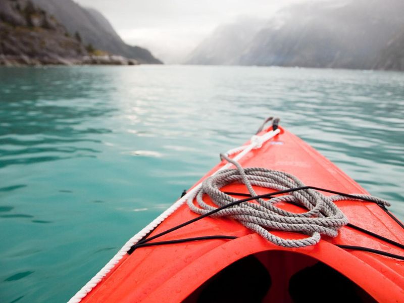 Chilkoot Lake Wildlife Kayak Tour from Haines Shore Excursion