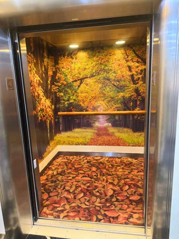 Lift art on Ambience