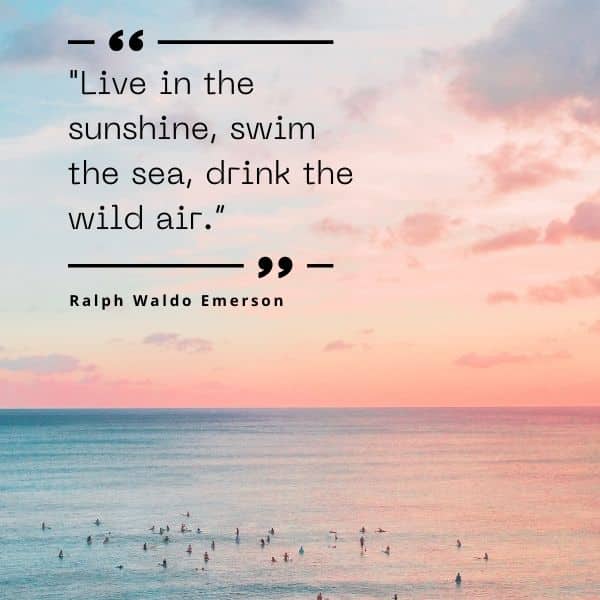 Quote about enjoying the wild air of the sea