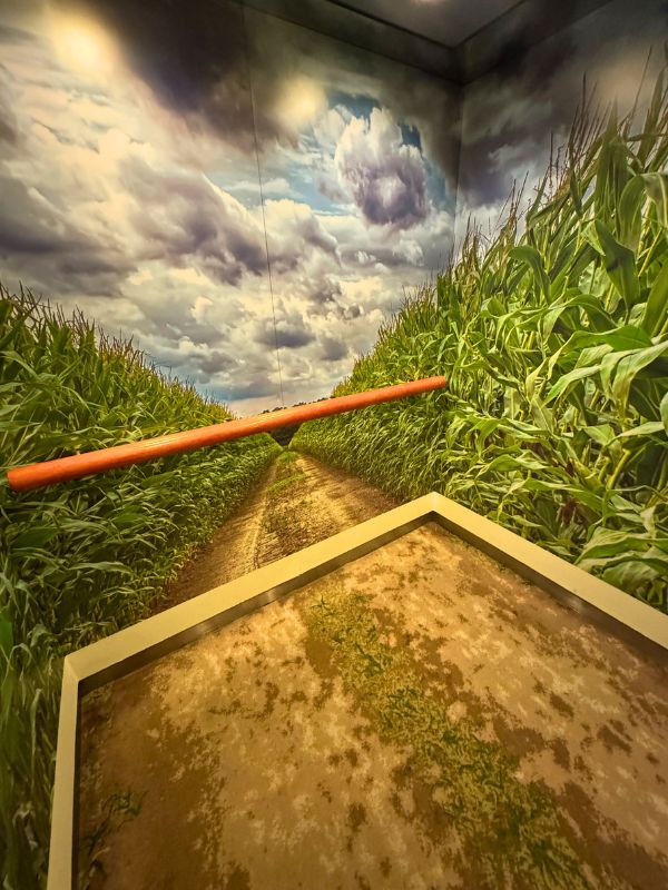 Lift art on Ambience