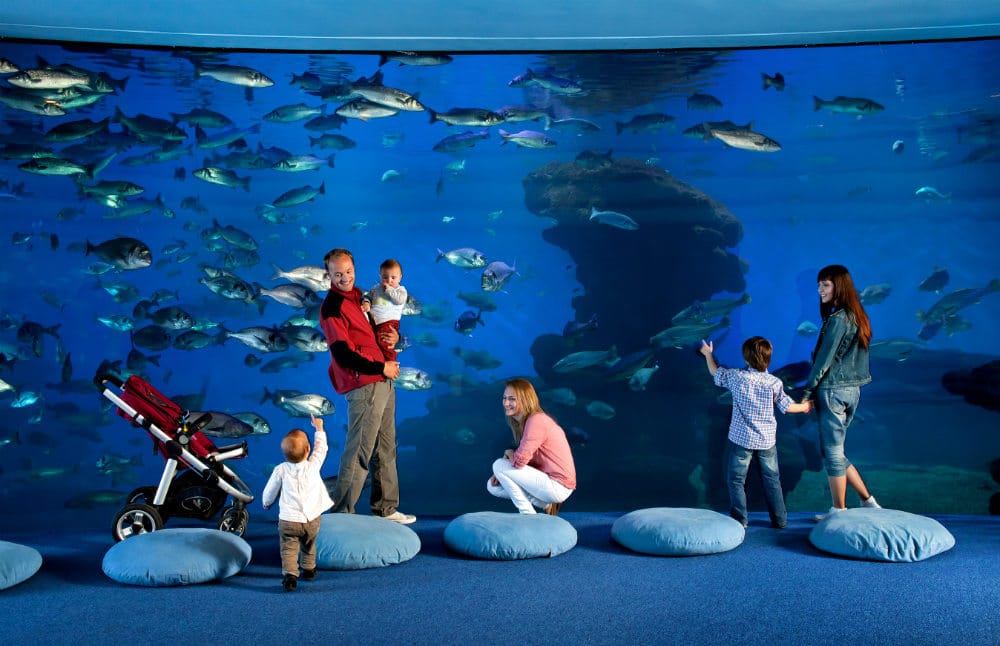 Palma Aquarium