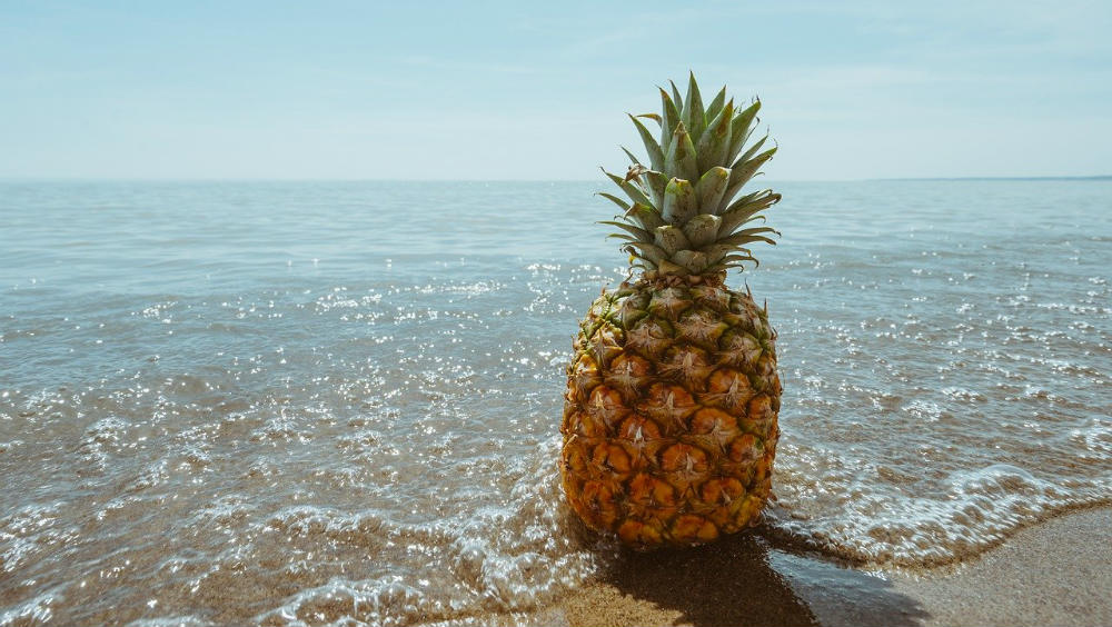 pineapple meaning