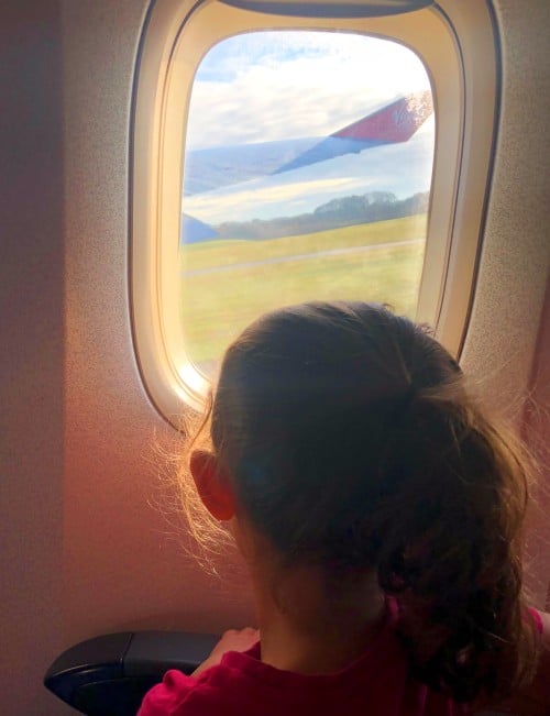 fly cruise