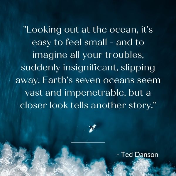 Quote about the vast oceans of the world