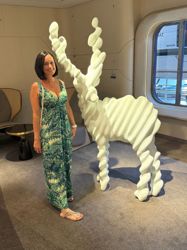 Celebrity cruises artwork