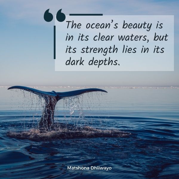 Quote about the beauty and strength of the ocean