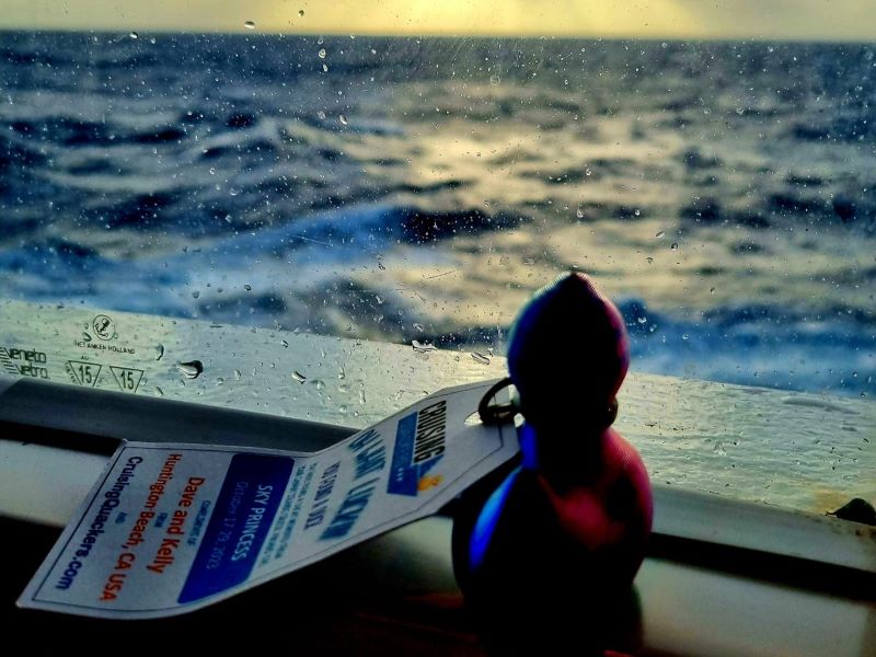 Cruise duck