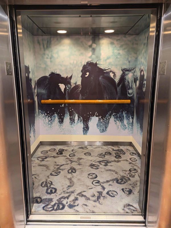 Lift art on Ambience