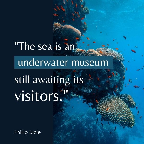Quote about the sea as an underwater museum