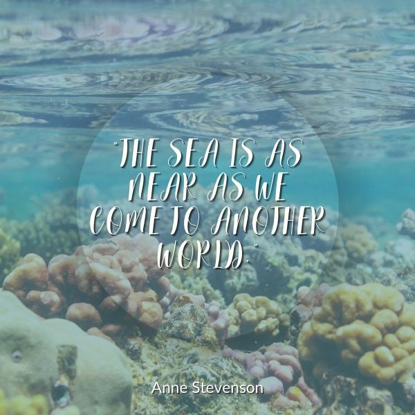 Quote about the sea as another world