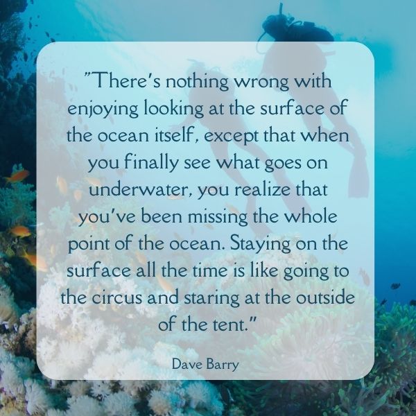 Quote about the point of the ocean