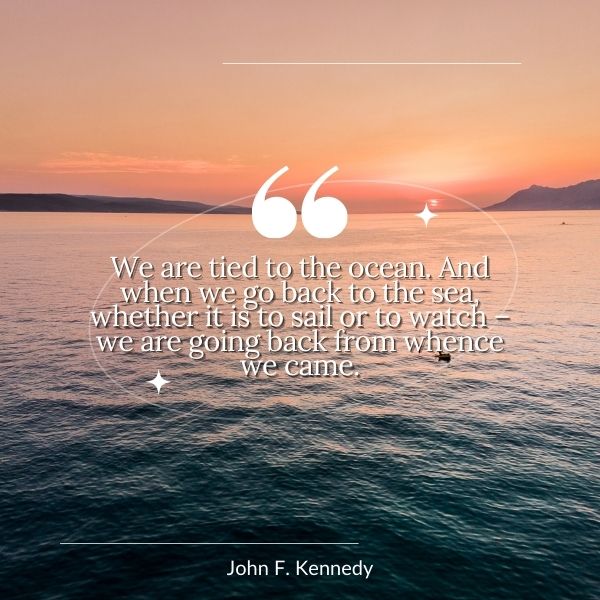 Quote about the ties we have to the ocean