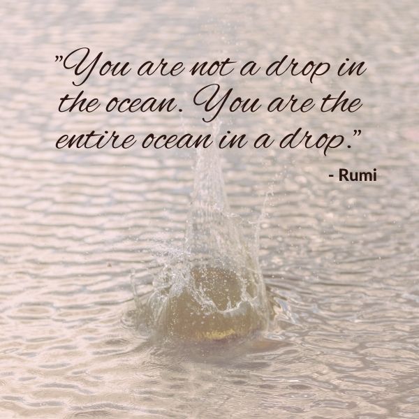 Quote about the nature of ocean within a drop