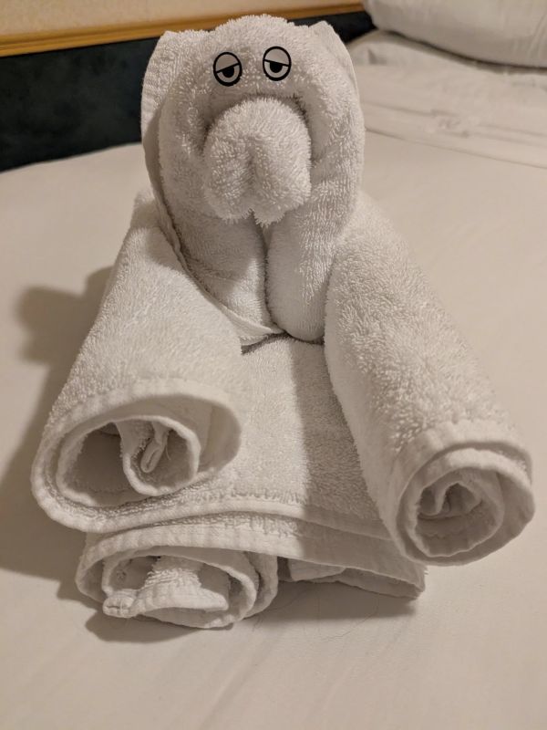 Towel animal on Independence of the Seas