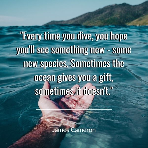 Quote about diving in the ocean
