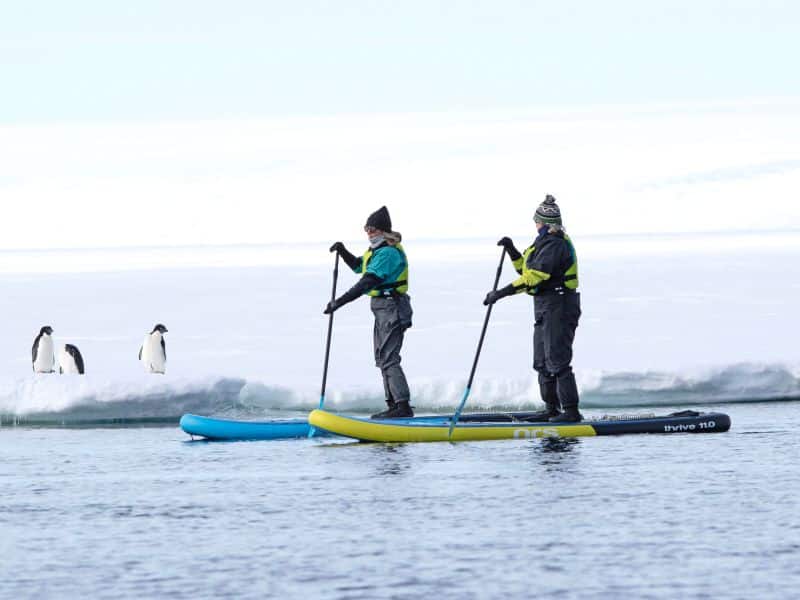 Paddle boarding in Antarctica