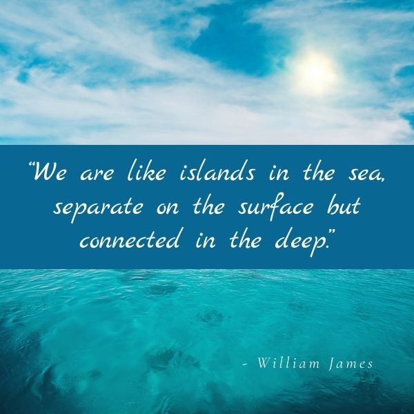 Quote about the connection of islands in the sea
