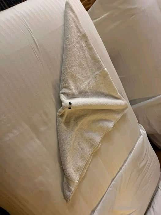 Towel Animal
