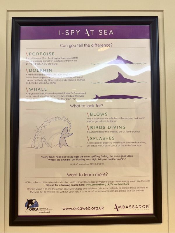 Orca poster on Ambassador ship