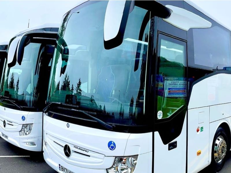 Two Amore Cruise Connection coaches.