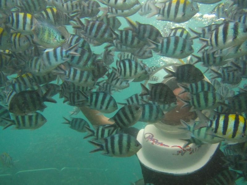 Bali Aqua Trek Adventure Shore Excursion