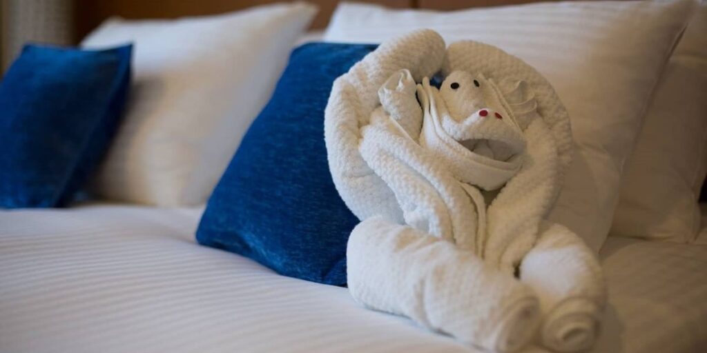 Carnival Cruise Line Towel Animal
