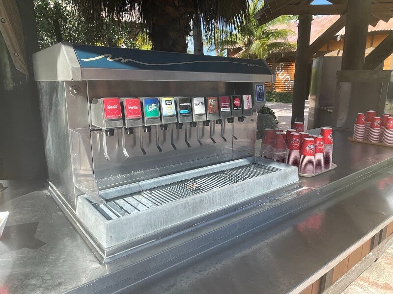 Castaway Cay free drinks