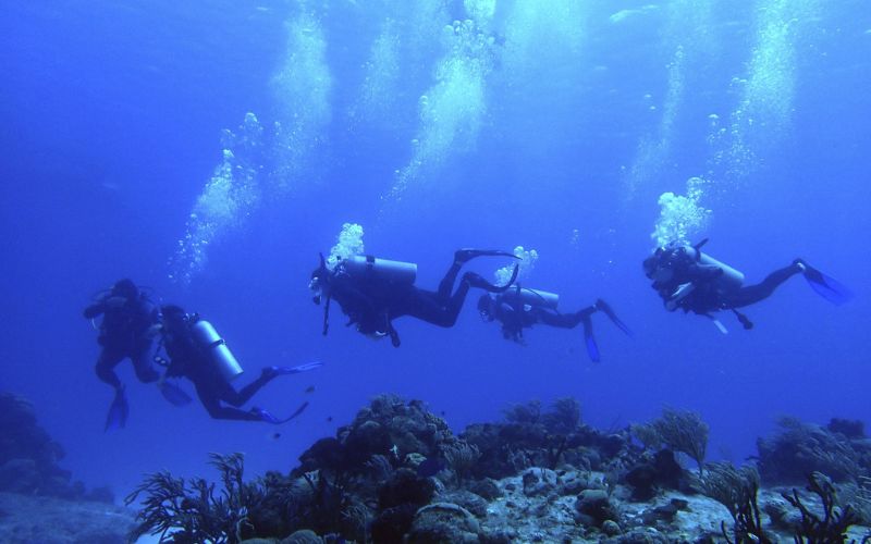 Scuba divers in Cozumel