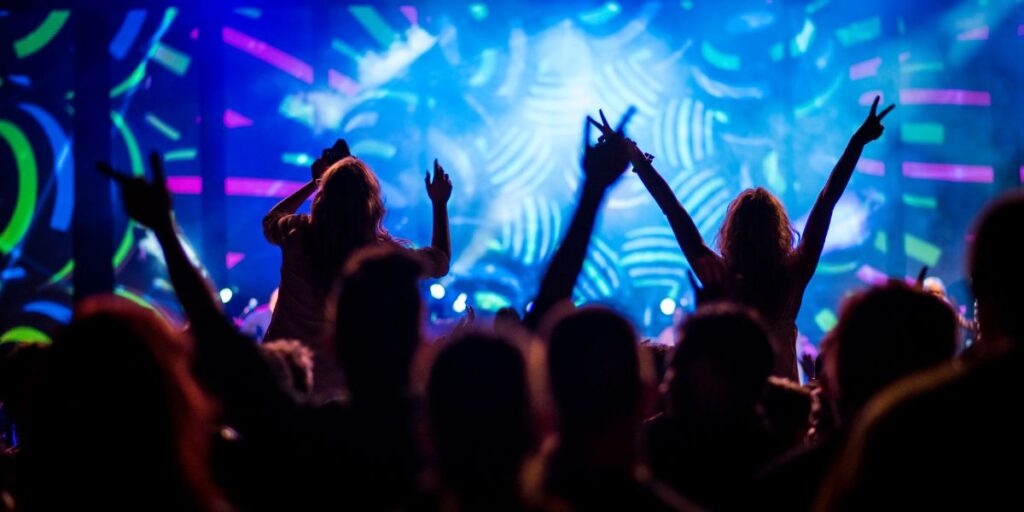 Crowd at a music festival