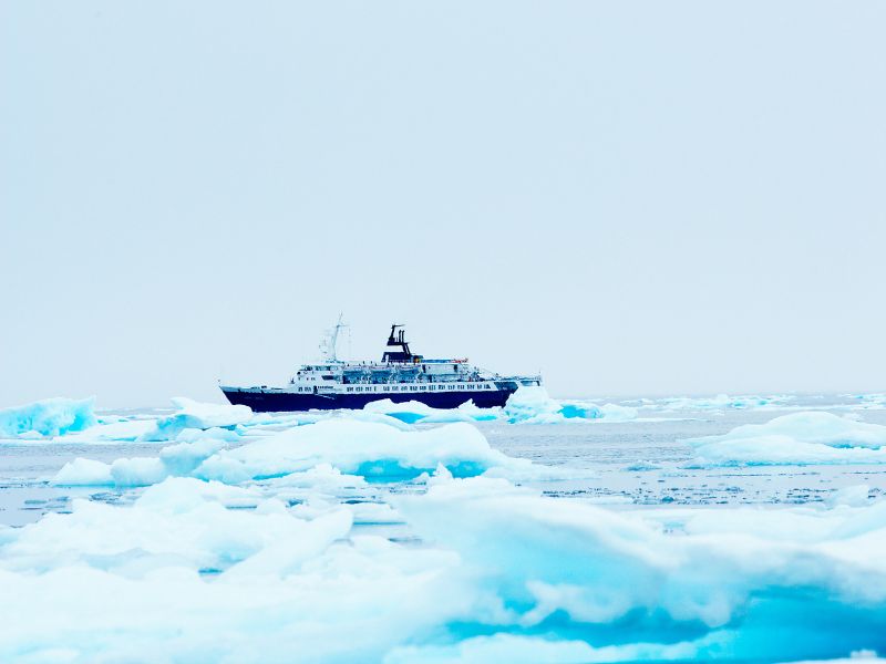 Cruise ship among icebergs