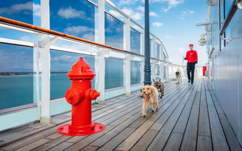 Dogs with kennel master on Queen Mary 2