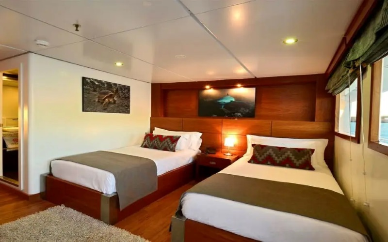 Cozy Elite Ocean View stateroom on the Celebrity Xploration, featuring two comfortable beds with a wood-paneled headboard, marine-themed artwork, and warm lighting, offering a welcoming atmosphere with a view of the sea.