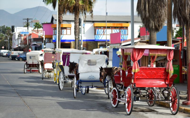 Ensenada Horse Drawn Tourist Carriages