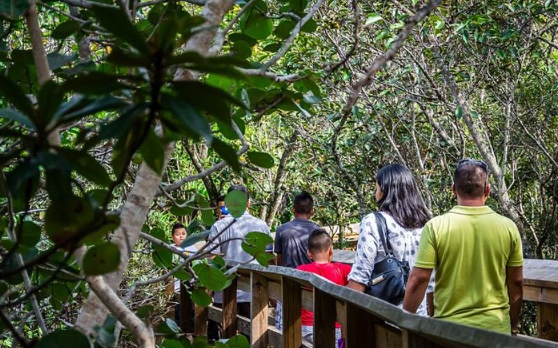 Everglades Tours