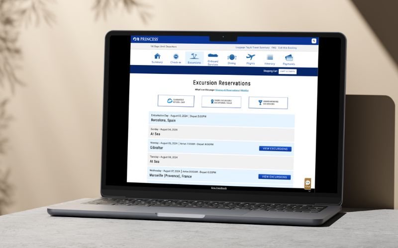 viewing cruise excursions on laptop