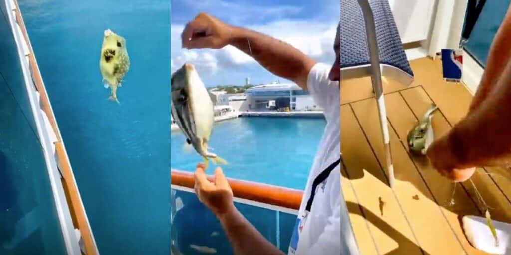 fishing off cruise ship balcony