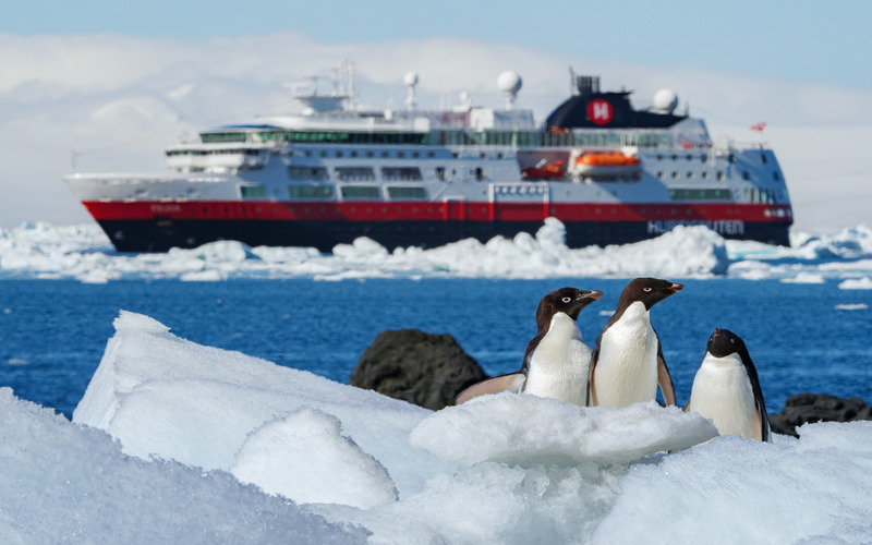 Hurtigruten cruise ship behind penguins