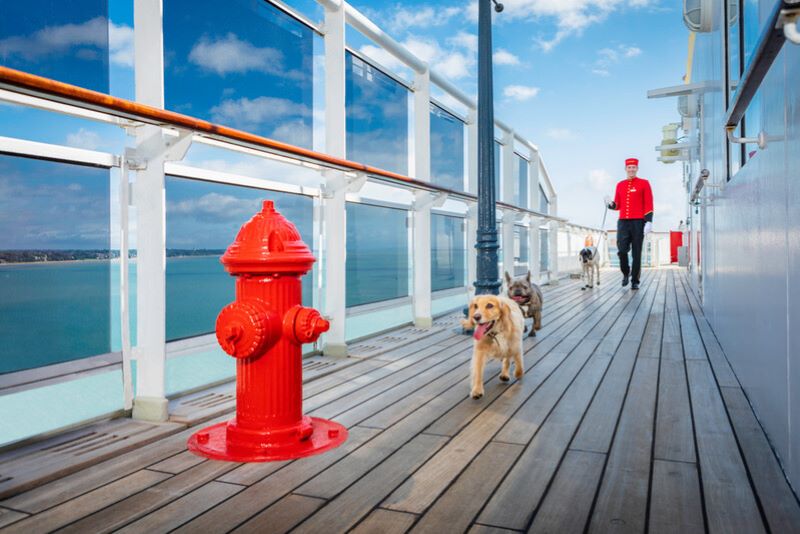 On the deck of Cunard's Queen Mary 2, dogs are taking a leisurely stroll, one prominently in the foreground, with a bright red fire hydrant adding a touch of whimsy to the scene. A crew member in a red uniform and pillbox hat walks further back, creating a snapshot of life aboard a luxury liner that caters to canine companions and their owners.