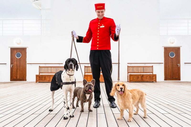 A smiling bellman in a red Cunard uniform stands on the wooden deck of the Queen Mary 2, holding leashes for three dogs: a large black and white spotted dog wearing a jacket, a brown French bulldog, and a golden retriever. The ship's classic design, with white walls and wooden benches, provides a luxurious backdrop for the pet-friendly environment aboard the ocean liner.