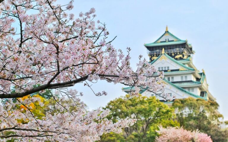 Strategic Location Offers Gateway To East Asian Destinations