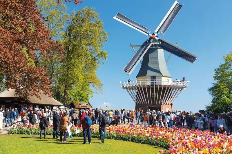 Keukenhof Gardens