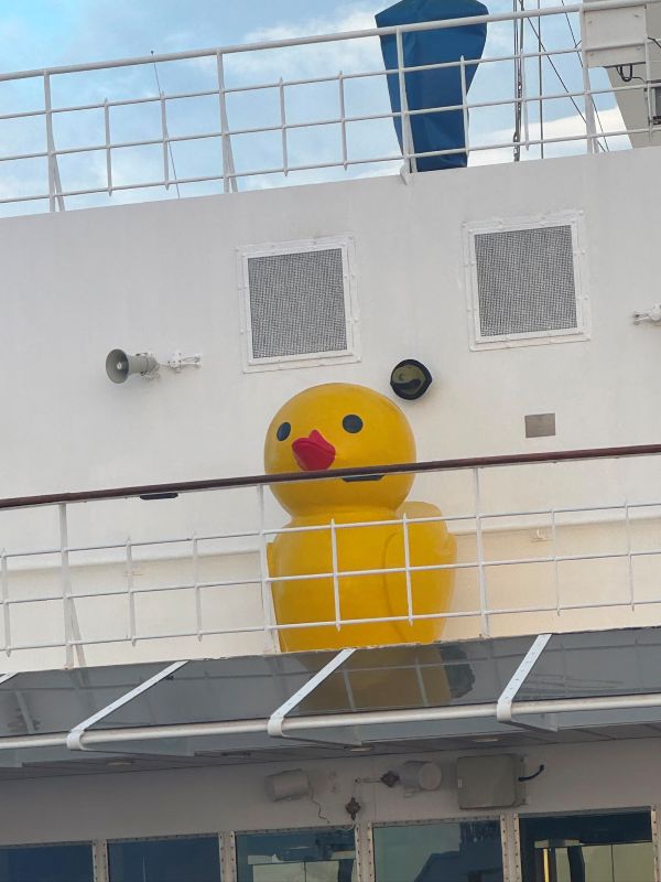 Marella Cruises Dora the Duck Marella Explorer