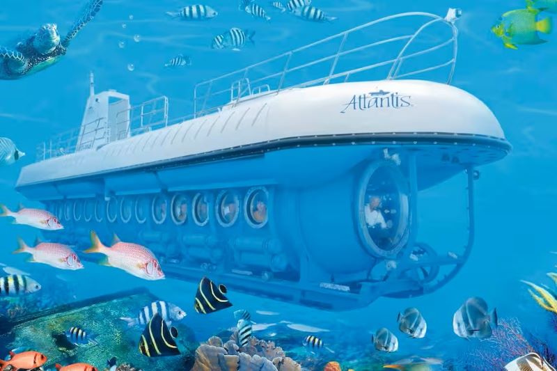 Marella Cruises Atlantis Submarine