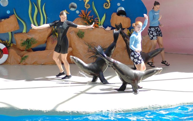 Miami Seaquarium