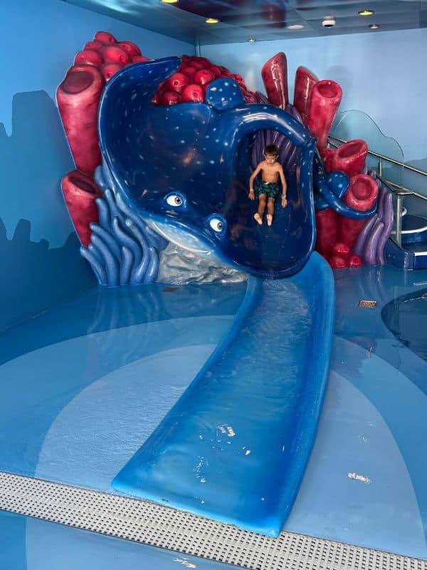 Mr Ray Slide Disney Dream