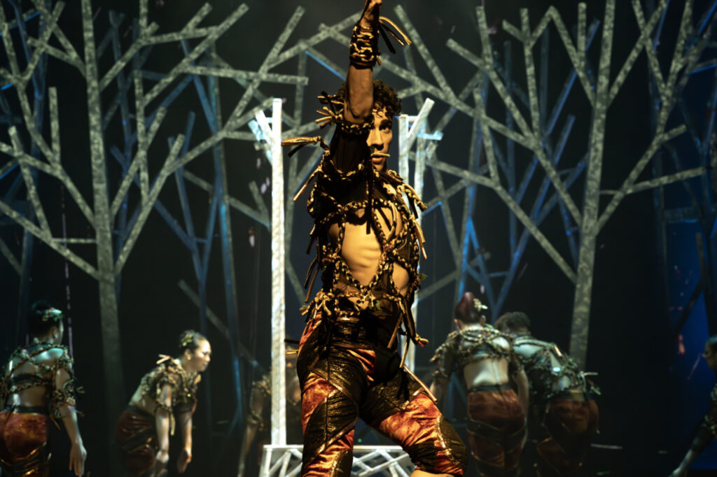 Performer in NCL Aqua Theatre