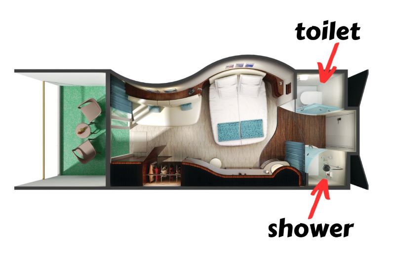 Overhead layout view of a Norwegian Cruise Line Epic cabin highlighting the exposed toilet and shower areas, with red arrows pointing to each. The cabin features a central bed, curvy modern furniture, and a separate seating area.