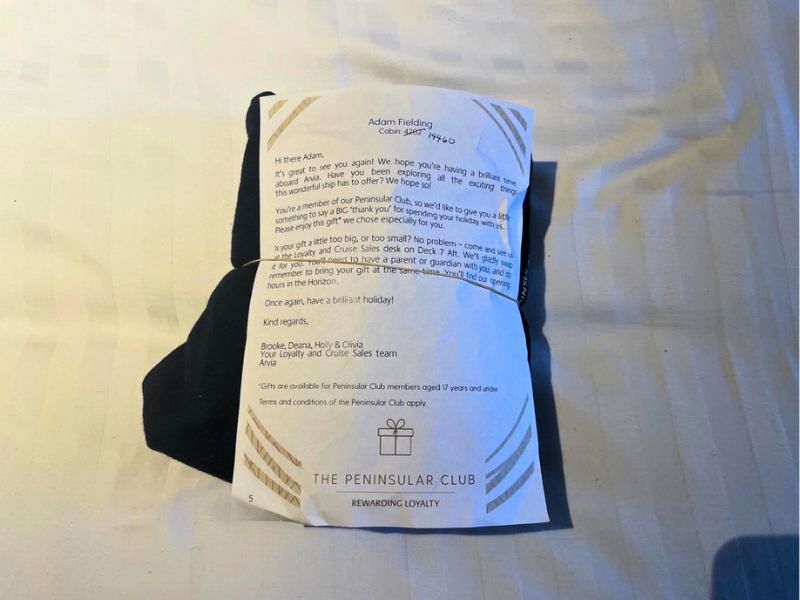P&O Cruises hoodie gift