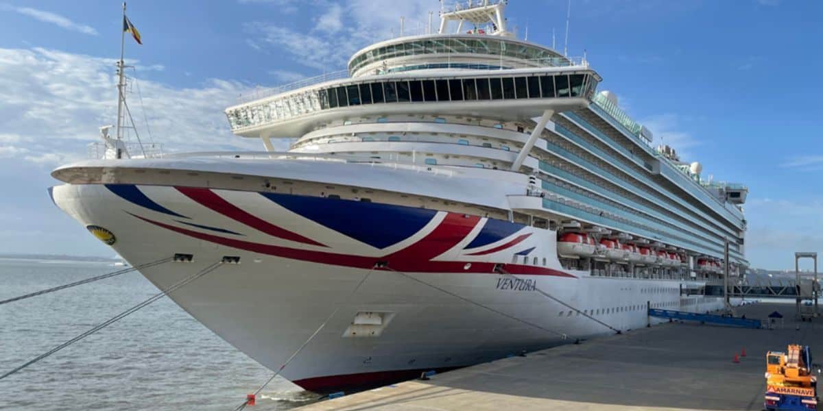 American Cruise Line To Launch DogFriendly Cruise In November 2025