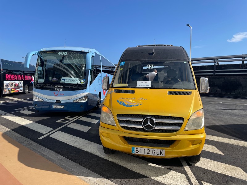 Colorful Cruise shuttle buses parked side by side - yellow and blue.